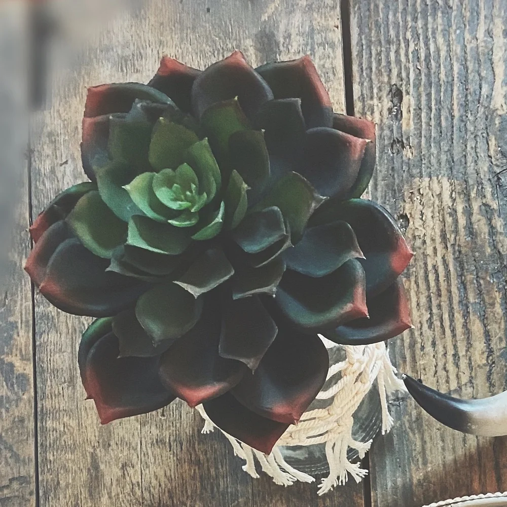Artisan Macramé Wrapped Glass Bottle | Faux Echeveria Succulent | Boho Decor HP🌵